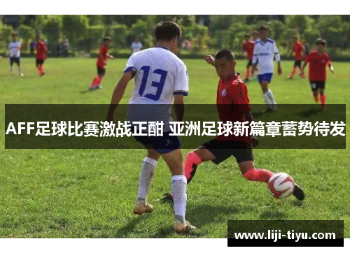AFF足球比赛激战正酣 亚洲足球新篇章蓄势待发